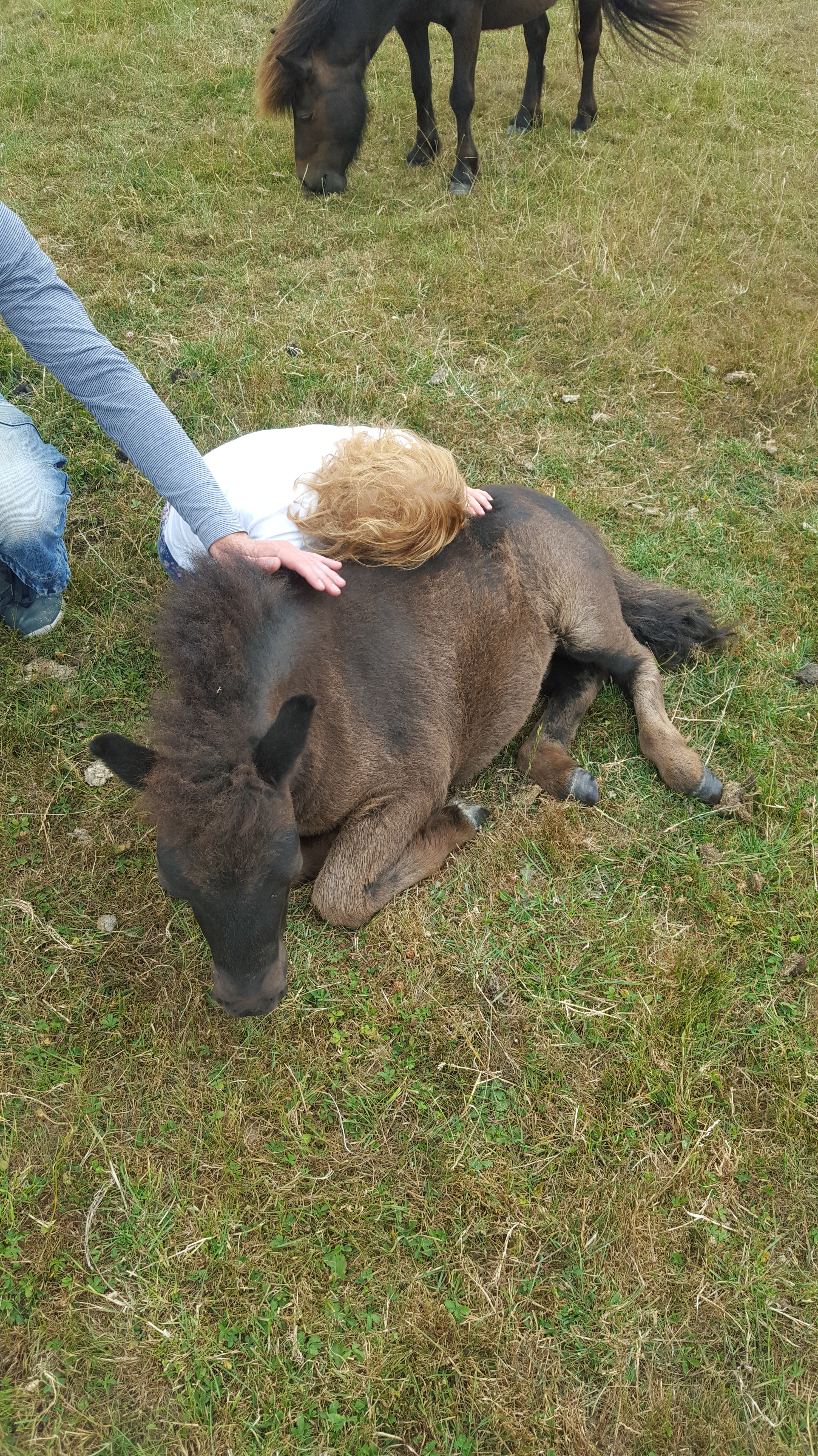 My daughter with a pony