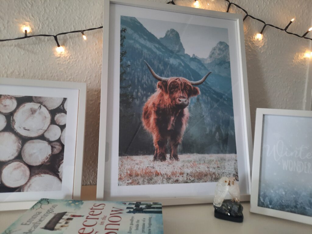 The Dolomites Highland Cow and Winter Wonderland posters from Poster Store