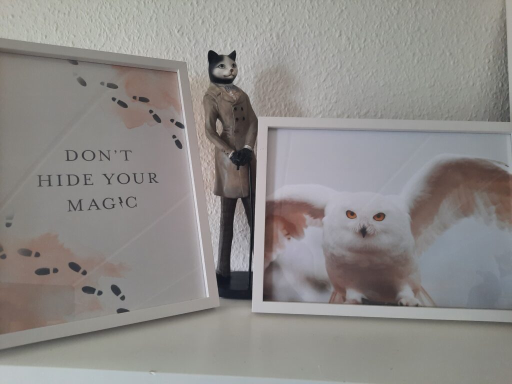 The Don't Hide Your Magic and Hedwig posters from Poster Store