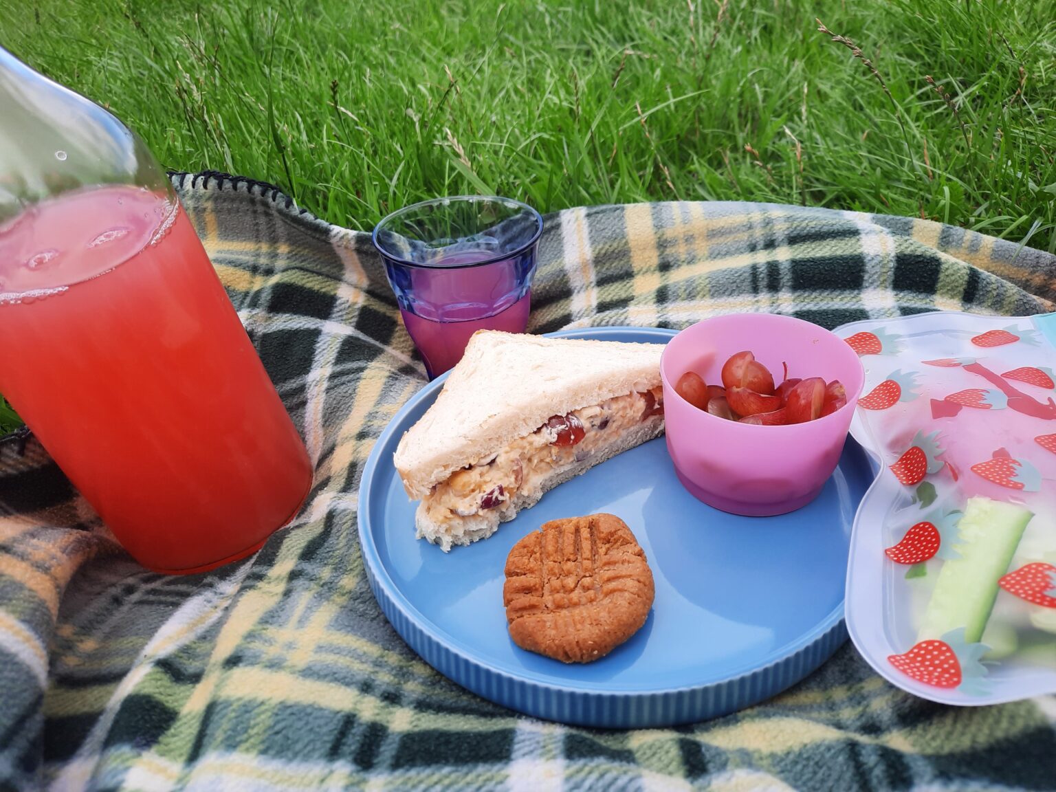 How to Have a Zero Waste Picnic - Tales of Belle