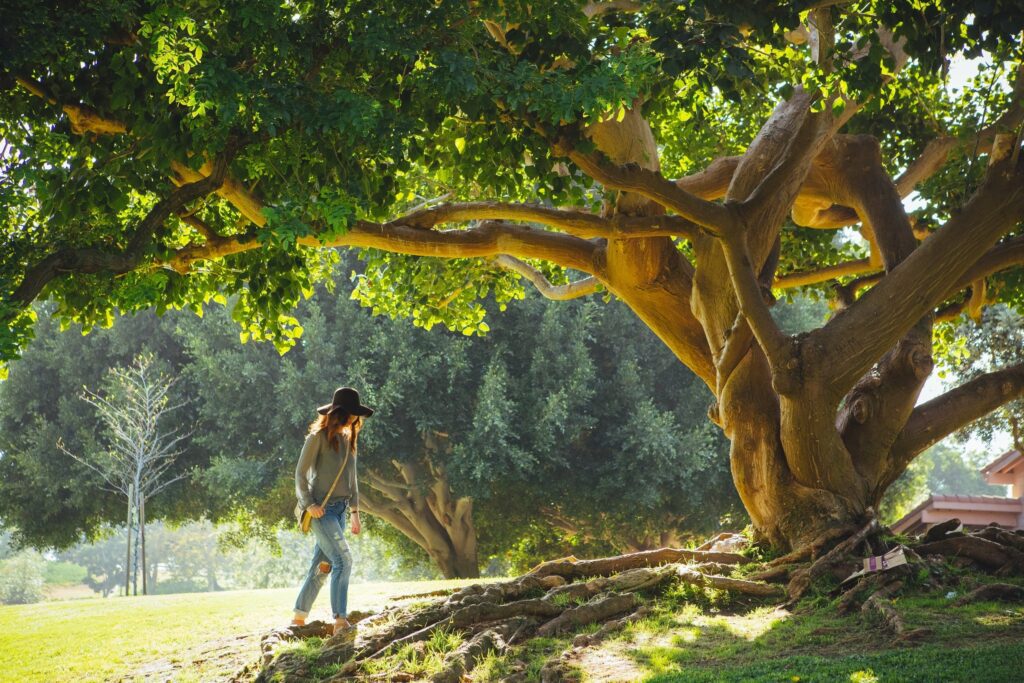 A woman with long brown hair wearing a green, flowly long-sleeve shirt, blue jeans, and a black hat walking underneath a large tree with green leaves. 