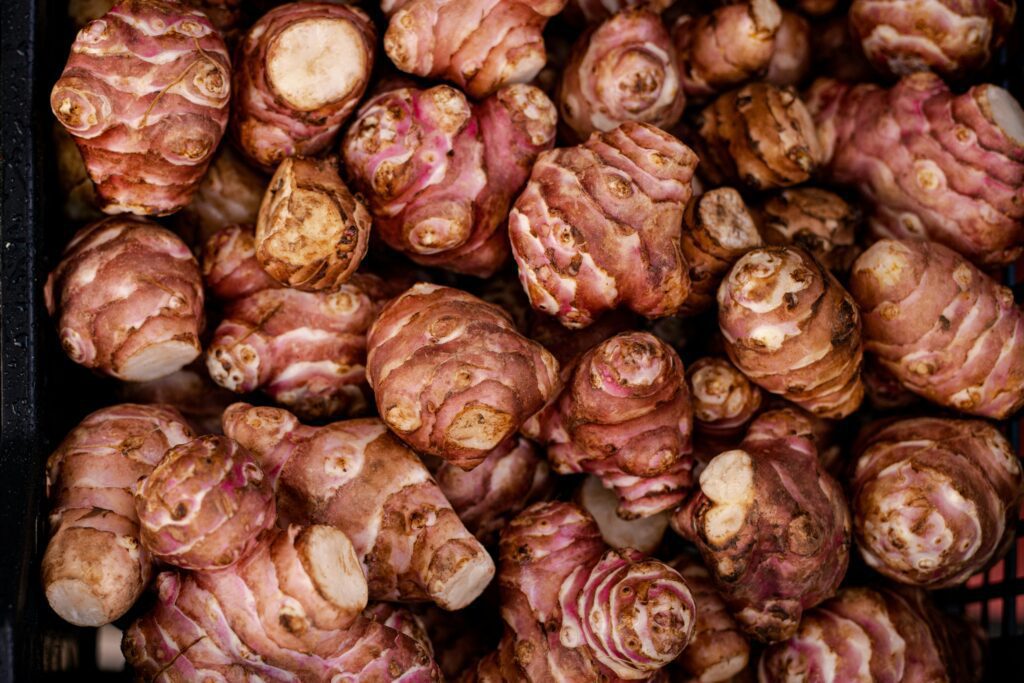 A pile of Jerusalem artichokes