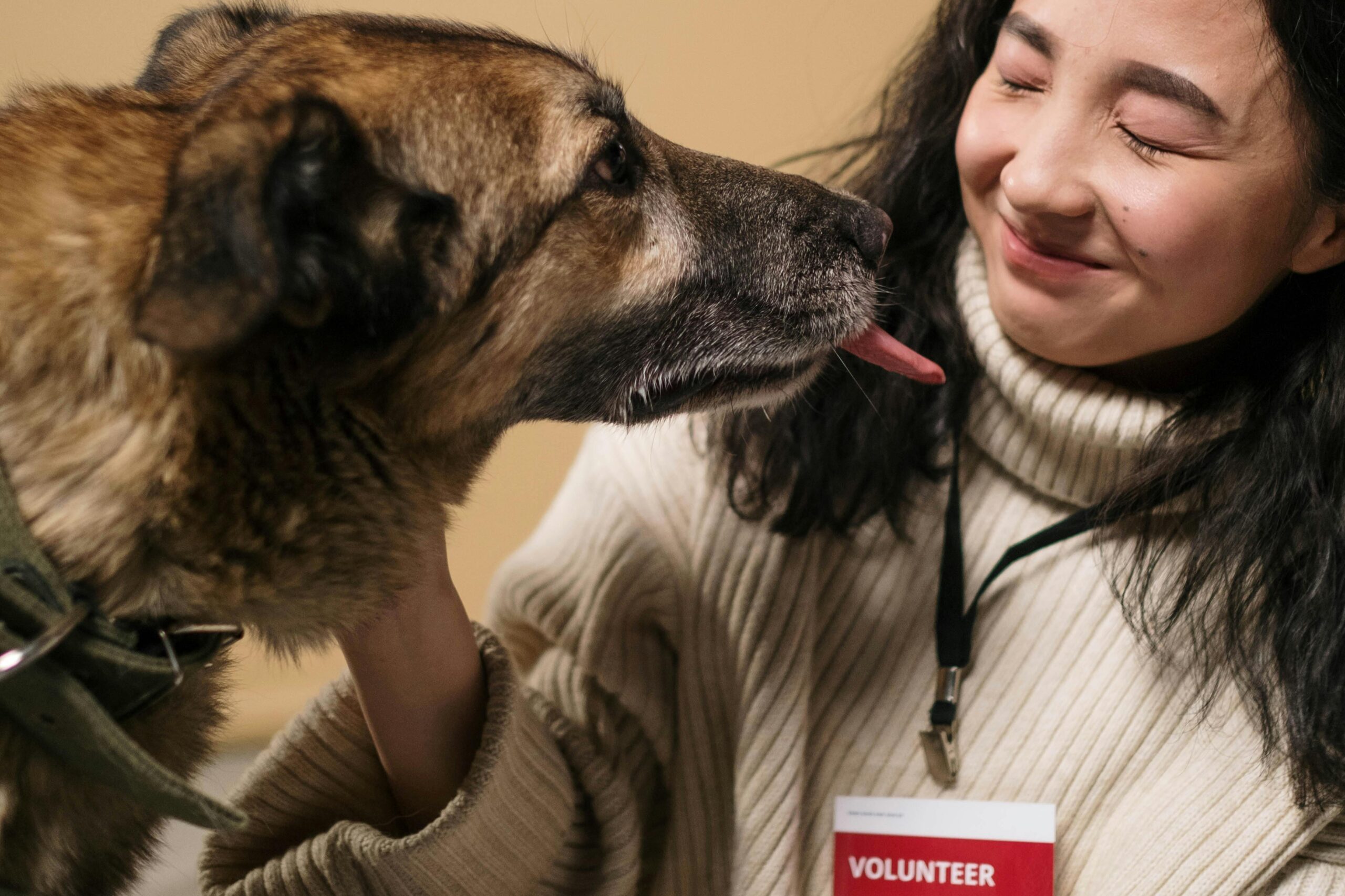 A volunteer at an animal shelter. Volunteering is a great way to celebrate spring and give back to your community
