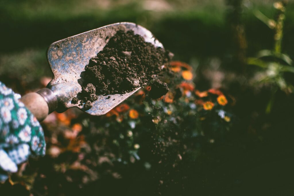 A garden spade with soil 