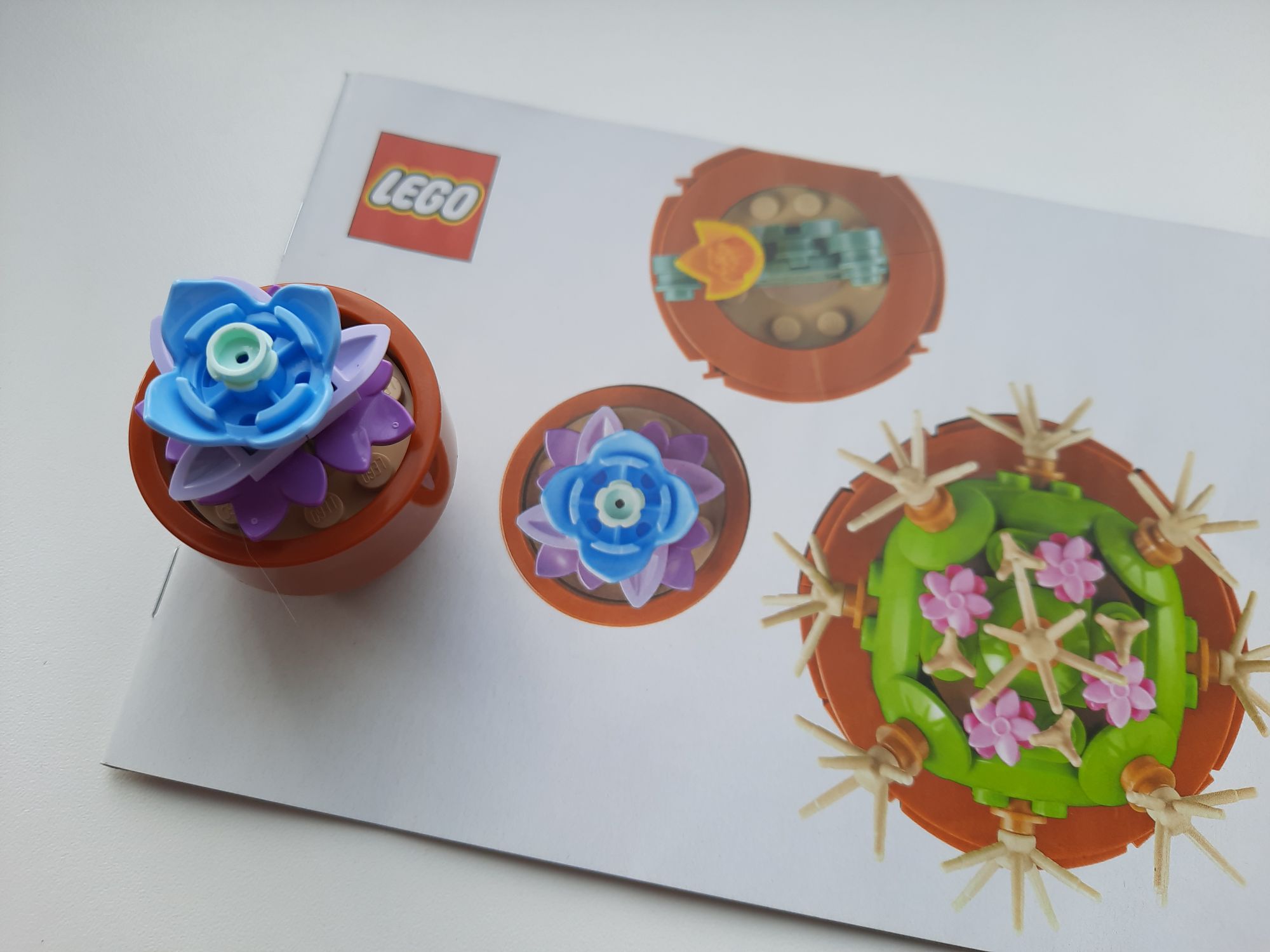 An assembled blue and purple succulent from the LEGO Botanicals Tiny Plants set