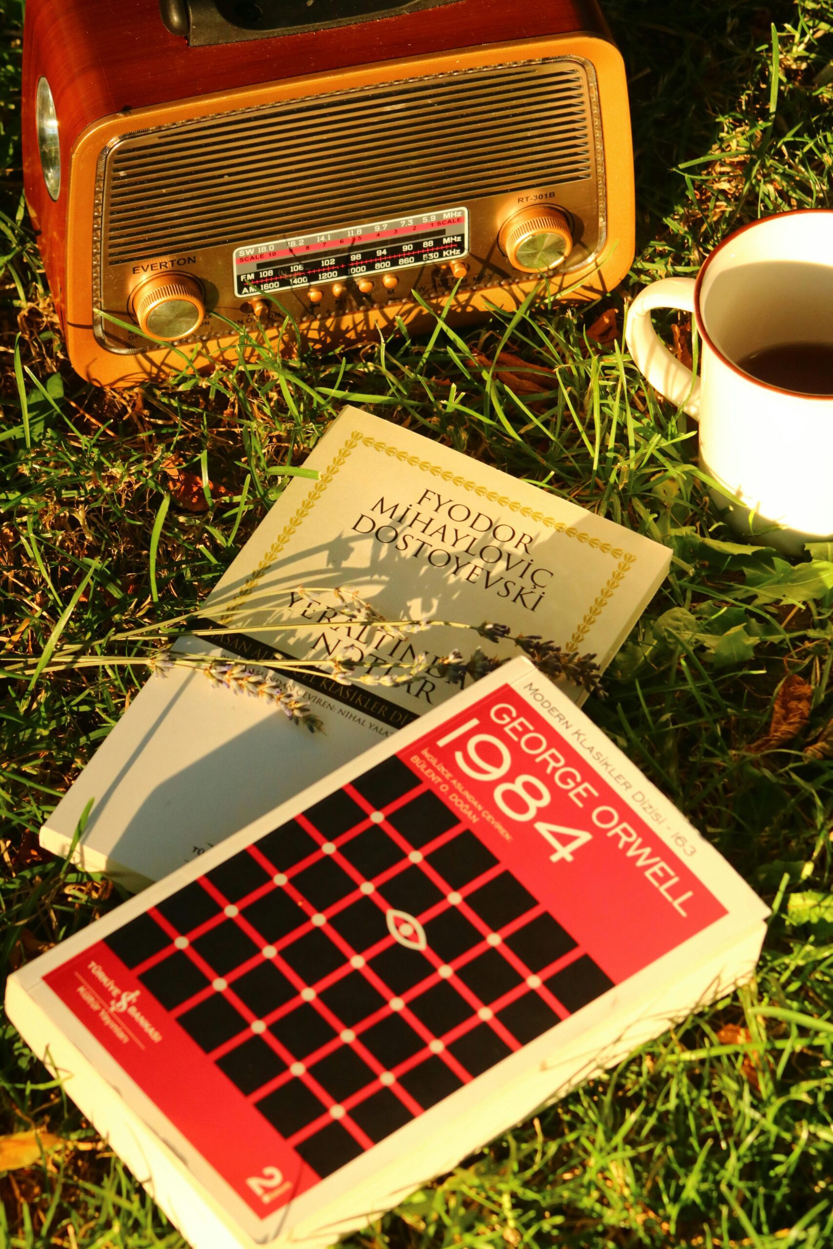 A copy of 1984 by George Orwell on the grass next to a vintage radio and a mug of coffee