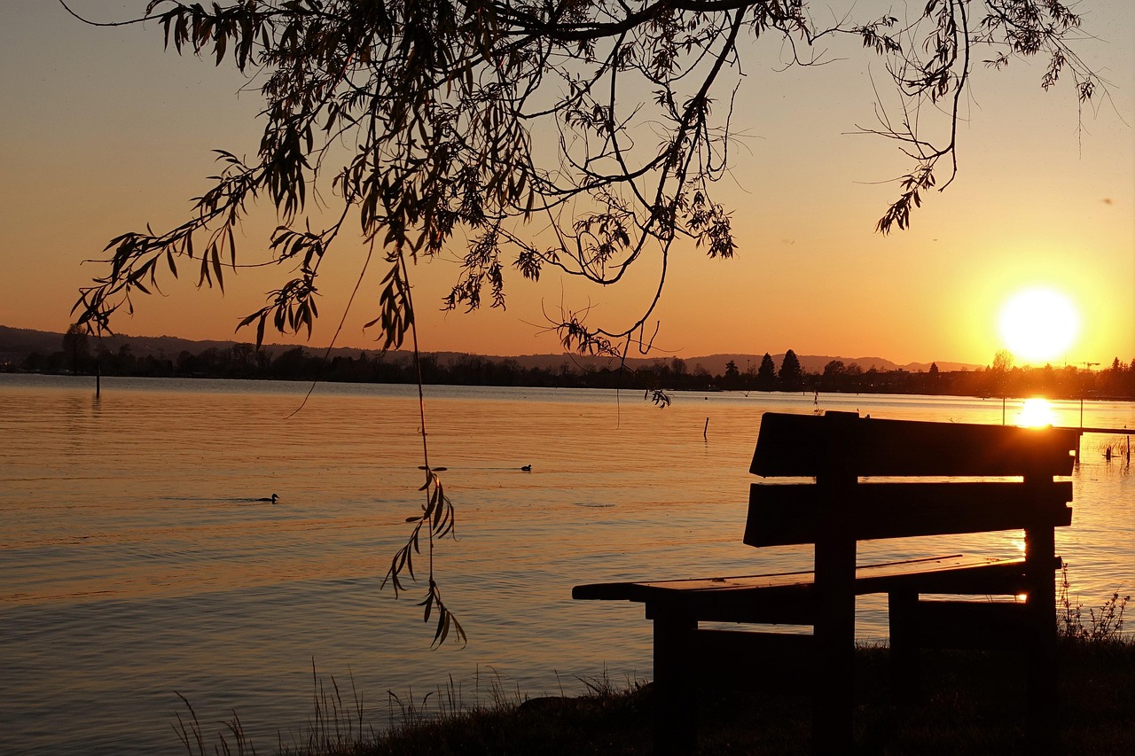 A bench by the edge of the water at sunset