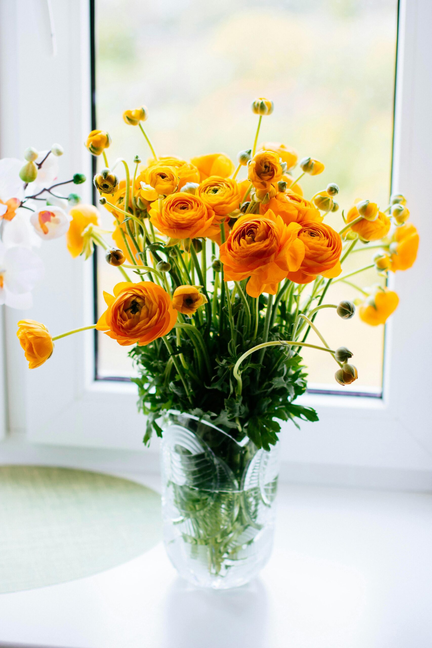 Yellow flowers in a vase