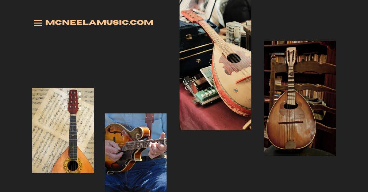 Mandolins from McNeela Music