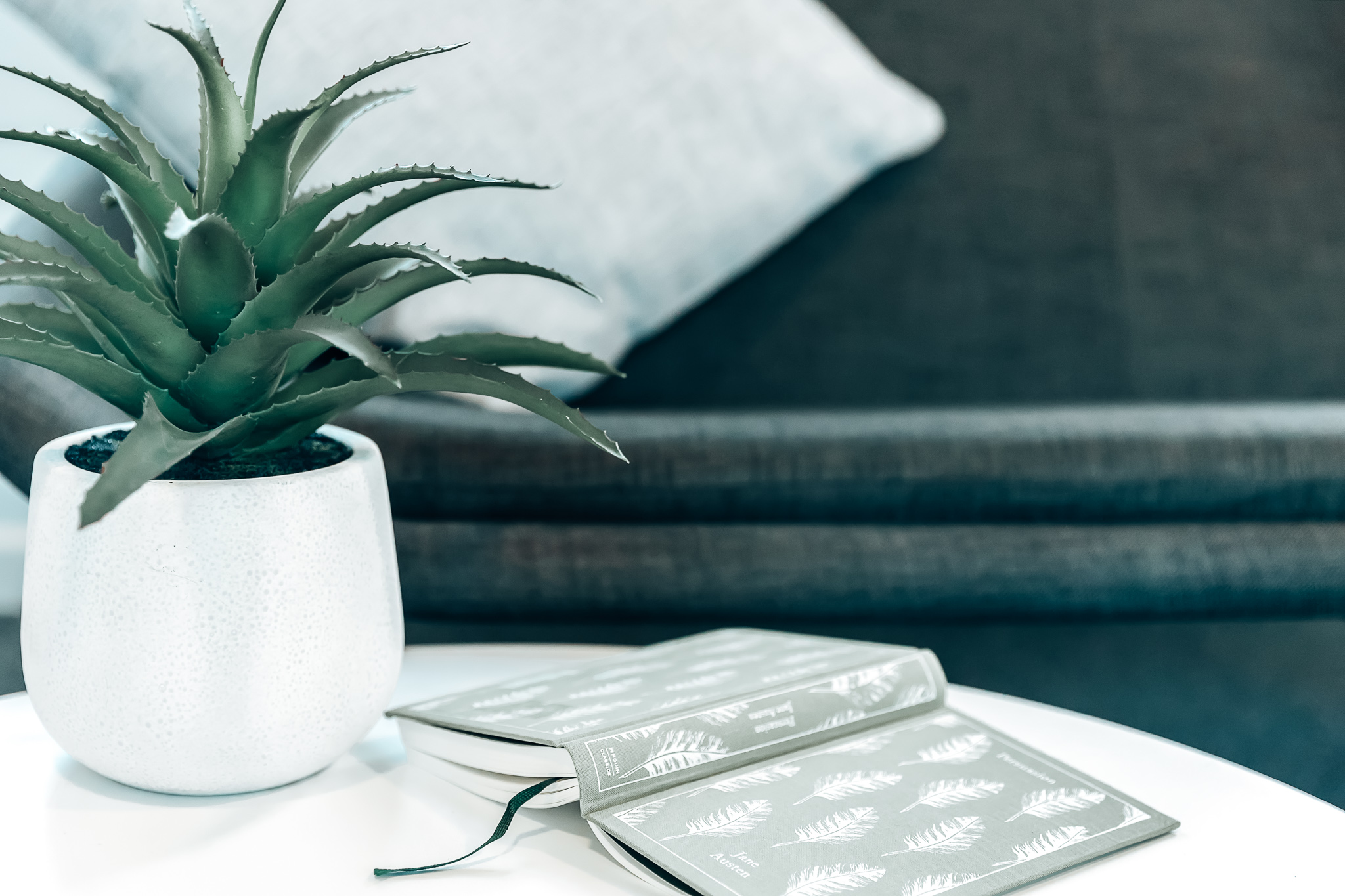 A book on a coffee table next to a succulent in a white pot in front of a dark sofa with a blue cushion